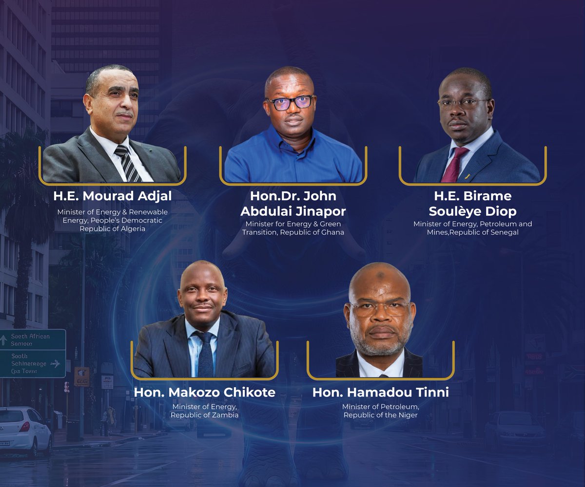 African Energy Week tweet media