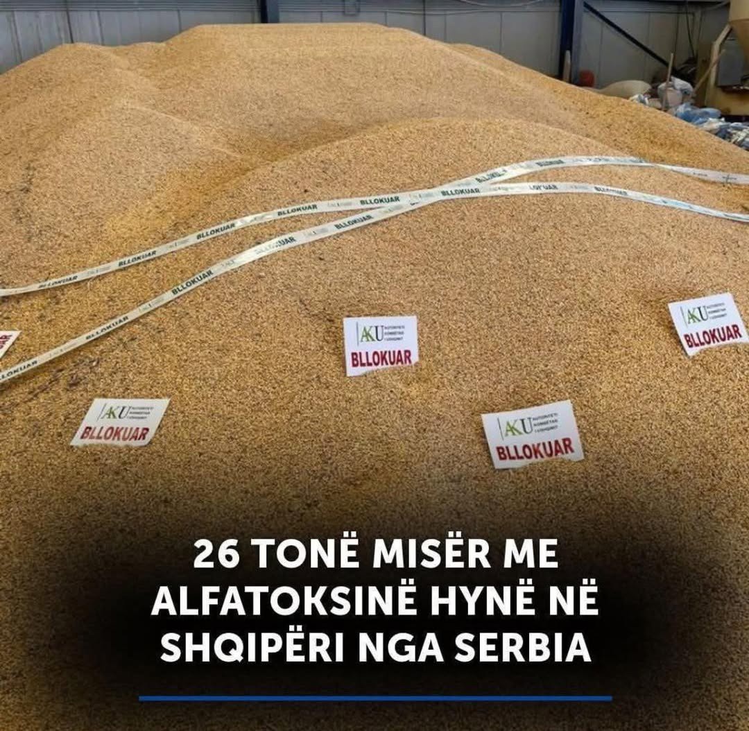 Declining grain production capabilities have reduced Albania to reliance on serbian grain imports. 

As with anything which comes from serbia, this too is ridden with cancer-inducing substances!