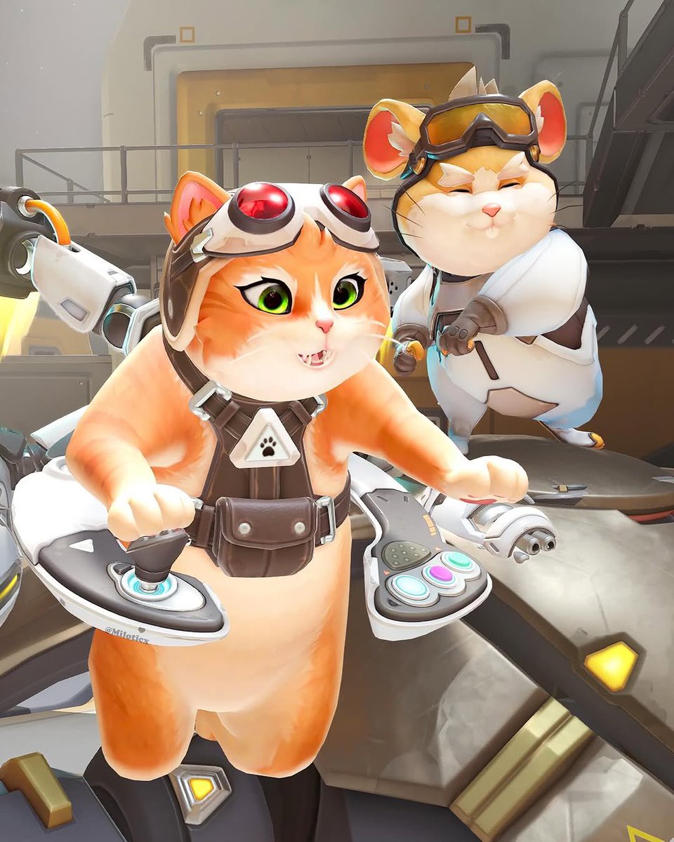 MOHAMMAD tweet media