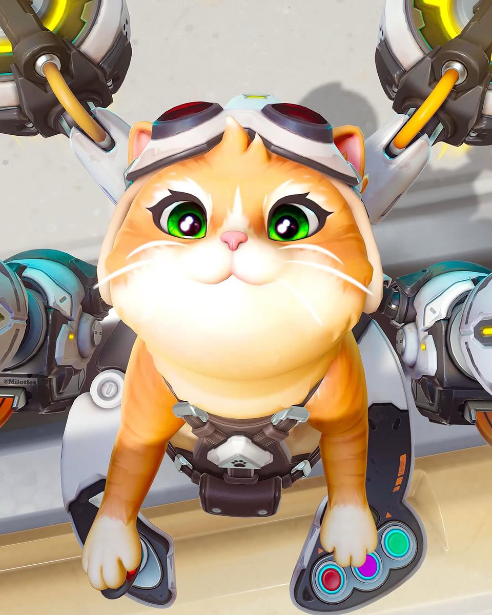 MOHAMMAD tweet media