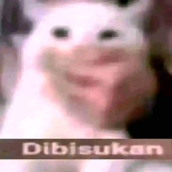 KAAA.rinz || rest midterm【FRKYTW】【IKNRCNG】 tweet media