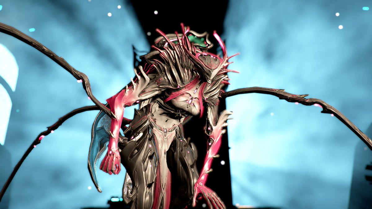 Christian Bittner 🔶 tweet media