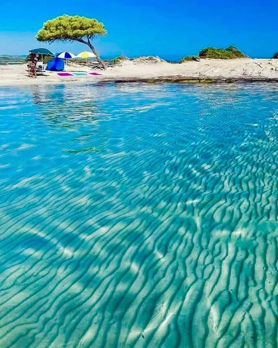 GreekPictures's tweet image. At #Karydi Beach in #Chalkidiki, the water is so clear that every ripple becomes a work of art, every shade of turquoise a reminder of how quietly beautiful #Greece can be. 🇬🇷
📷 rockin.greece