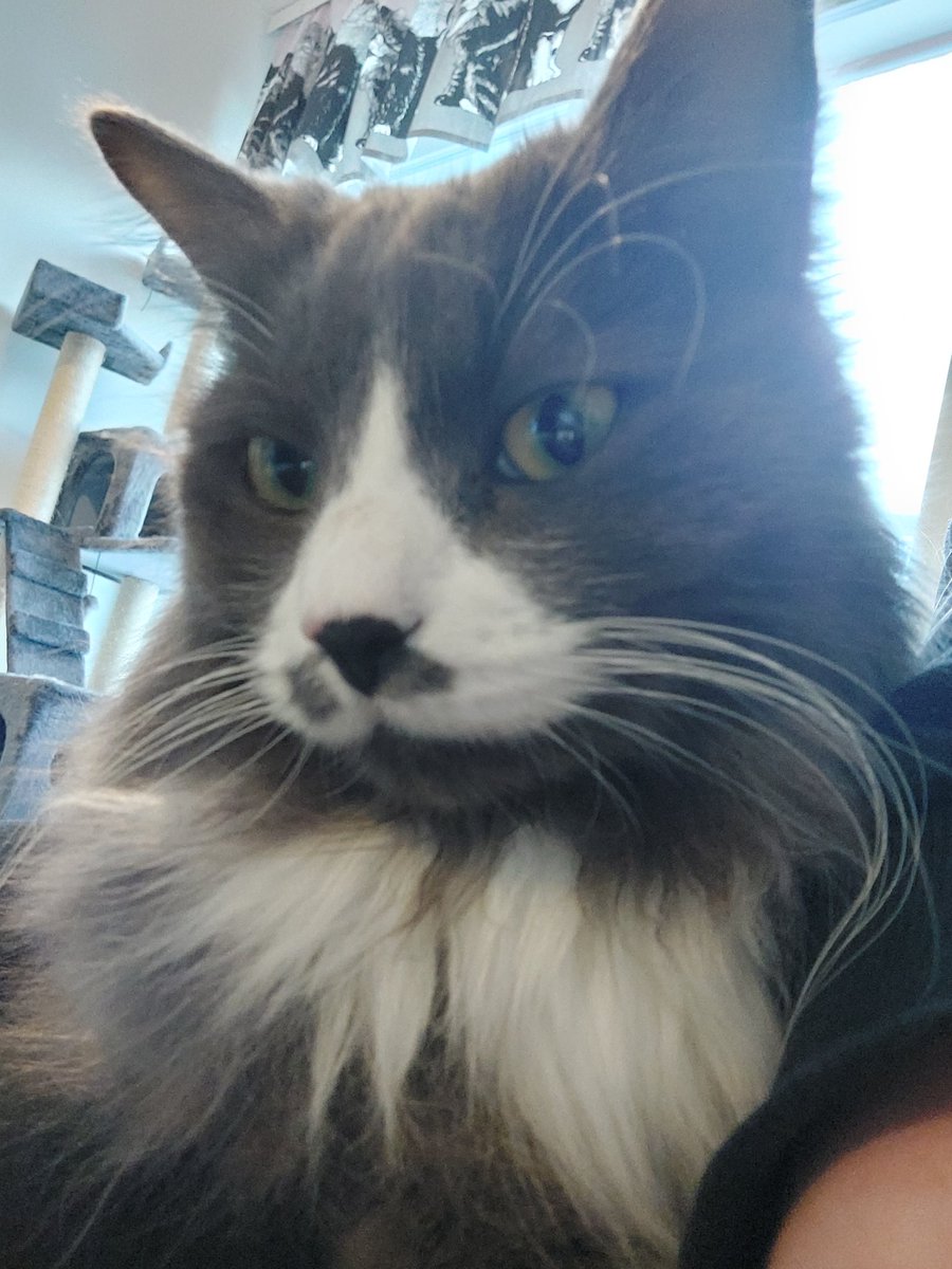 good wednesday to you all!