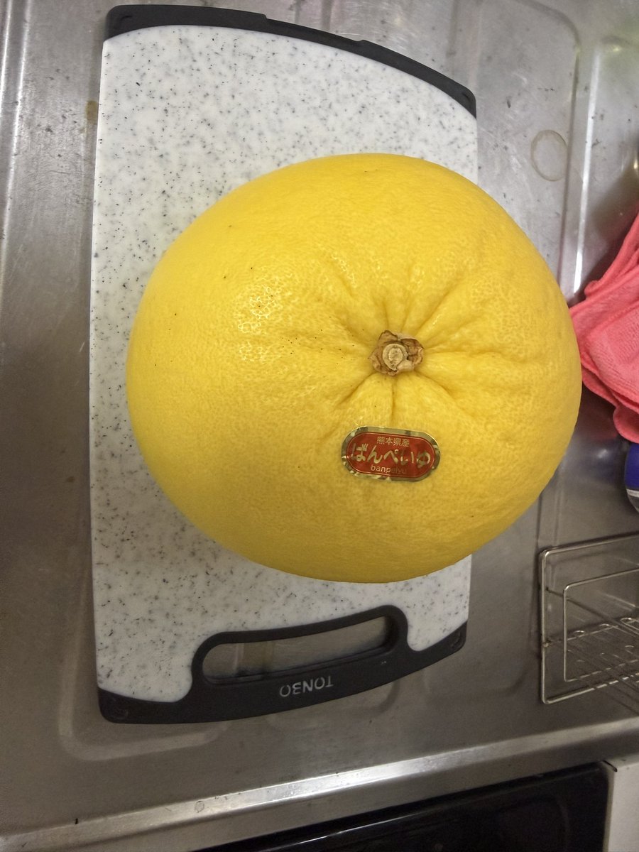 Peka_maRel's tweet photo. ドンキでめちゃくちゃデカイ柑橘類あって、買ってみたけどデカすぎだろー！笑 https://t.co/wsdjfn98wT
