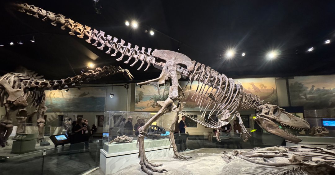 First Advantage tweet media