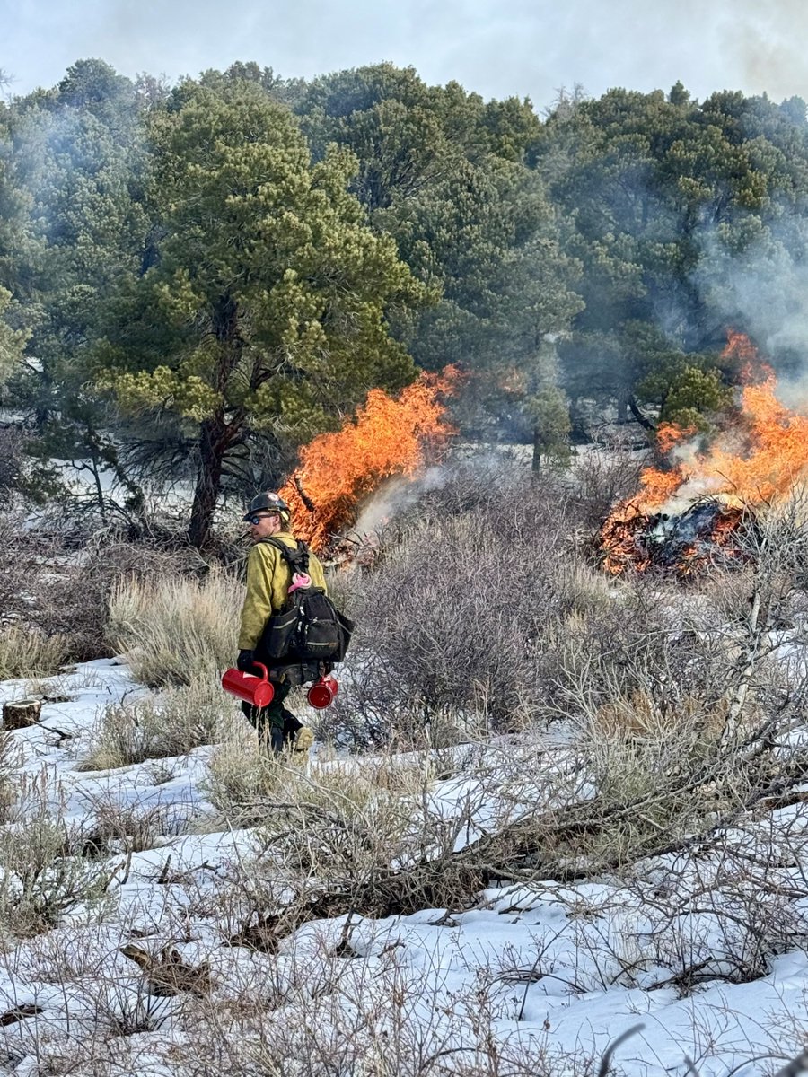 U.S. Wildland Fire Service tweet media
