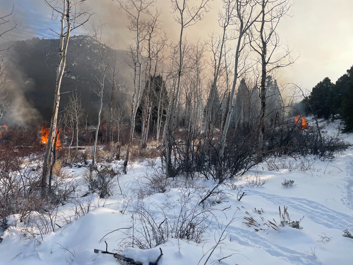 U.S. Wildland Fire Service tweet media