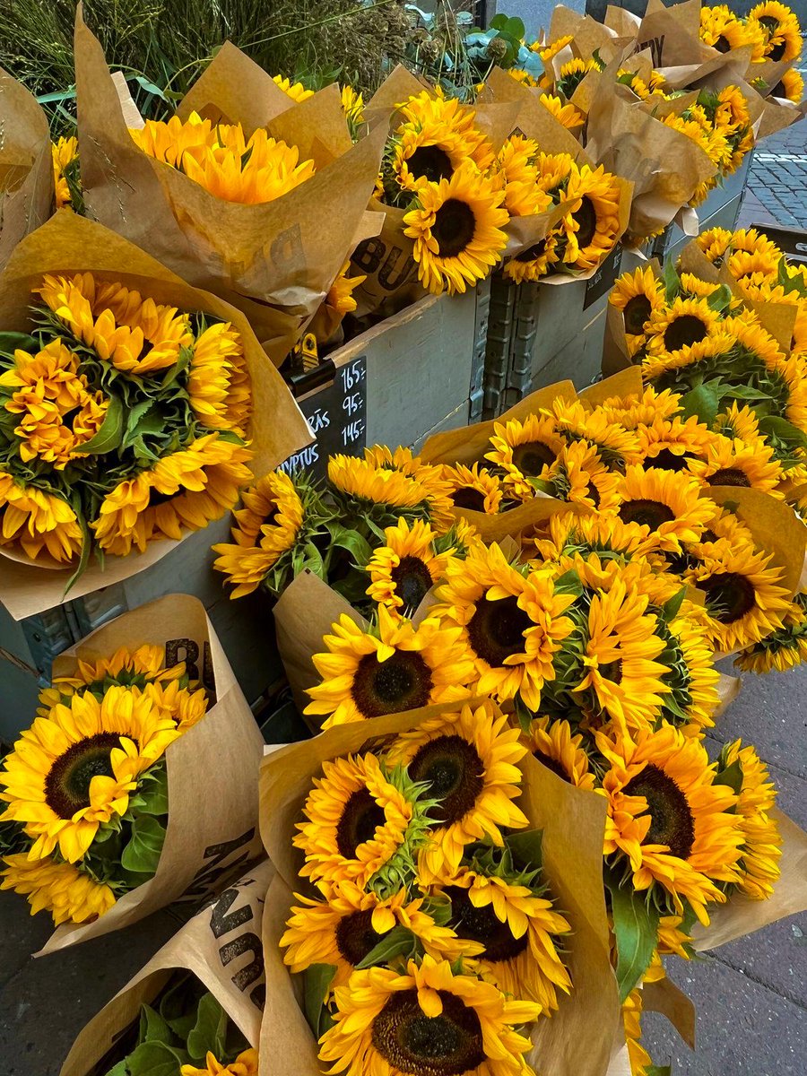 softpetalview's tweet photo. https://t.co/QlQf3xrzCX
