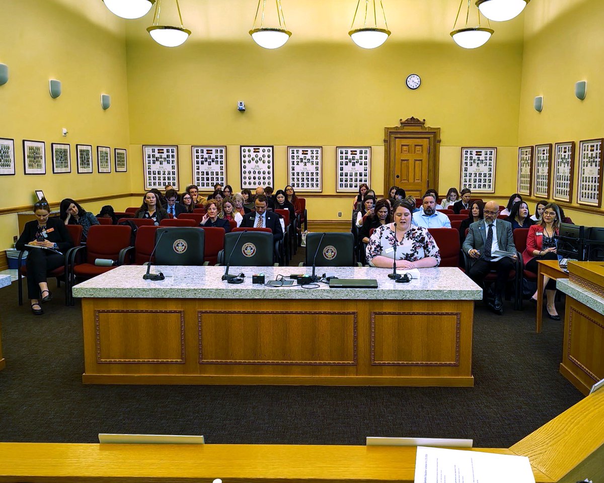 The Sunshine House tweet media