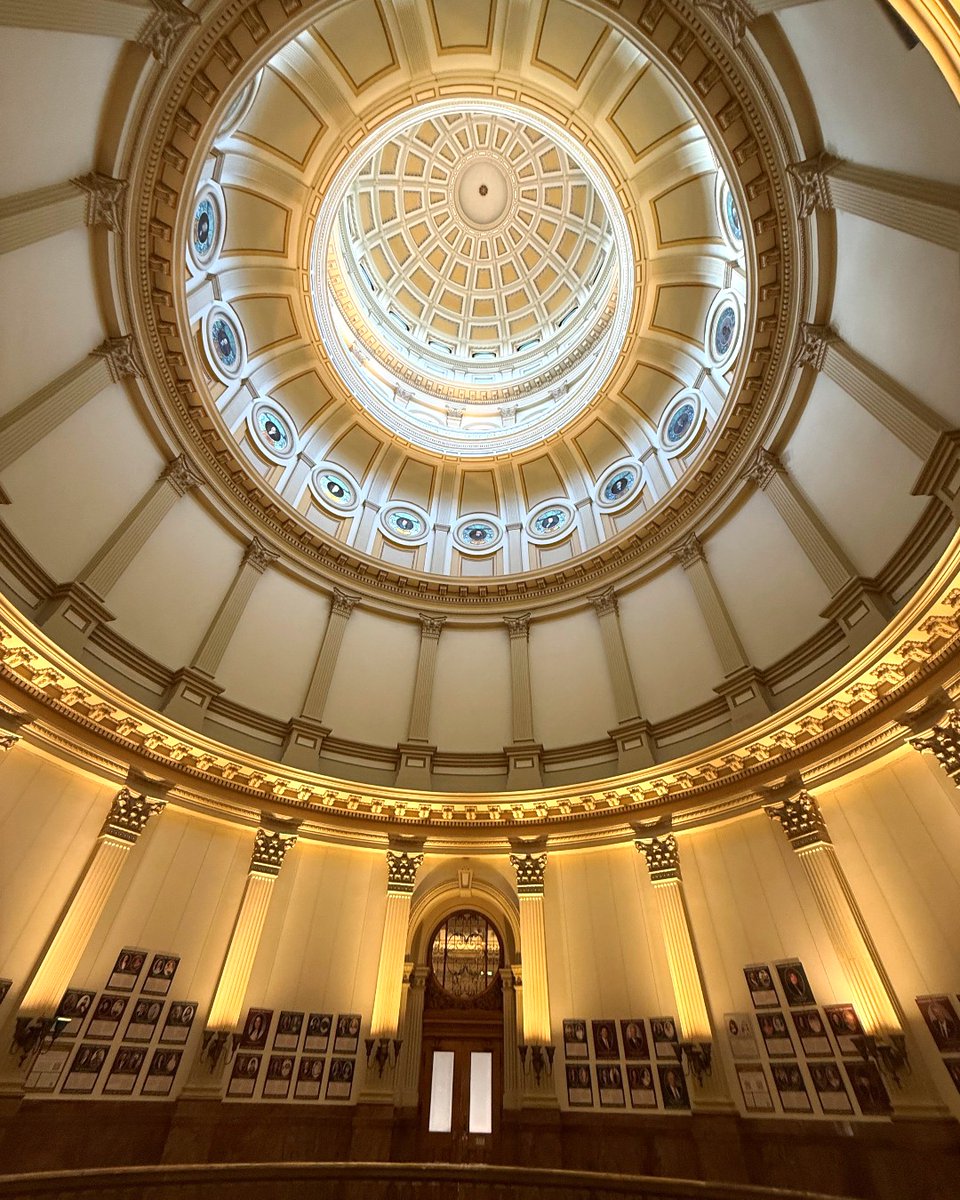 The Sunshine House tweet media