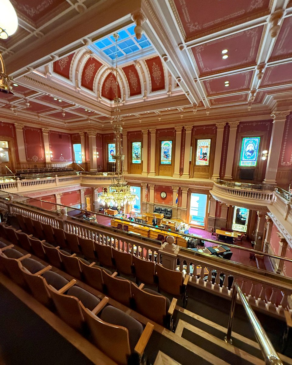 The Sunshine House tweet media