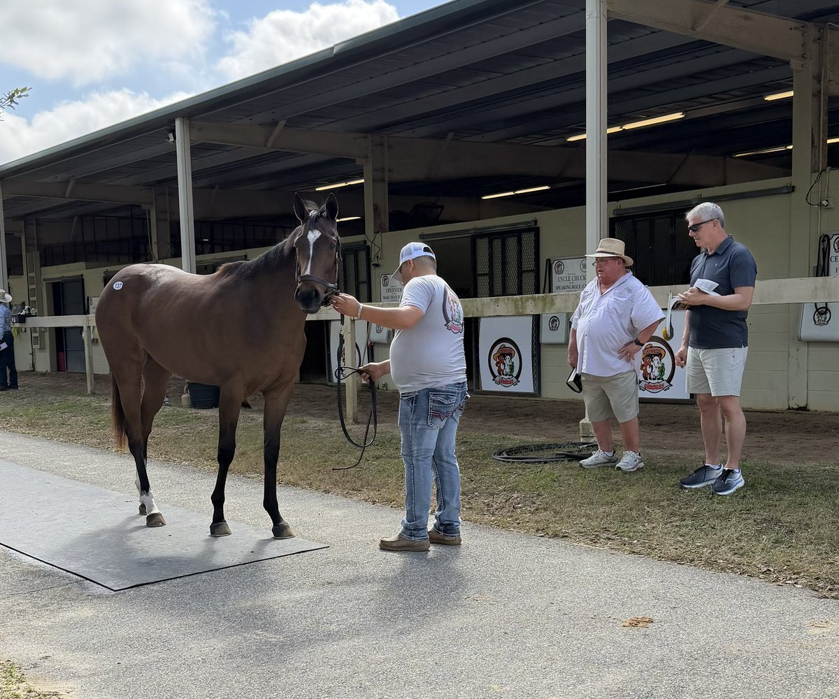 Jeff Lifson tweet media