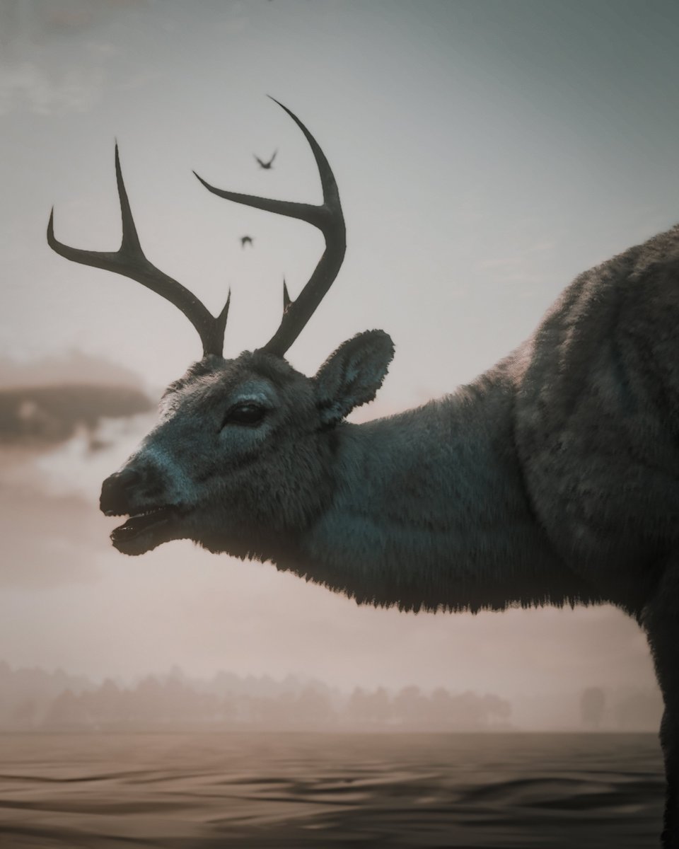 AfterFrame || VP tweet media