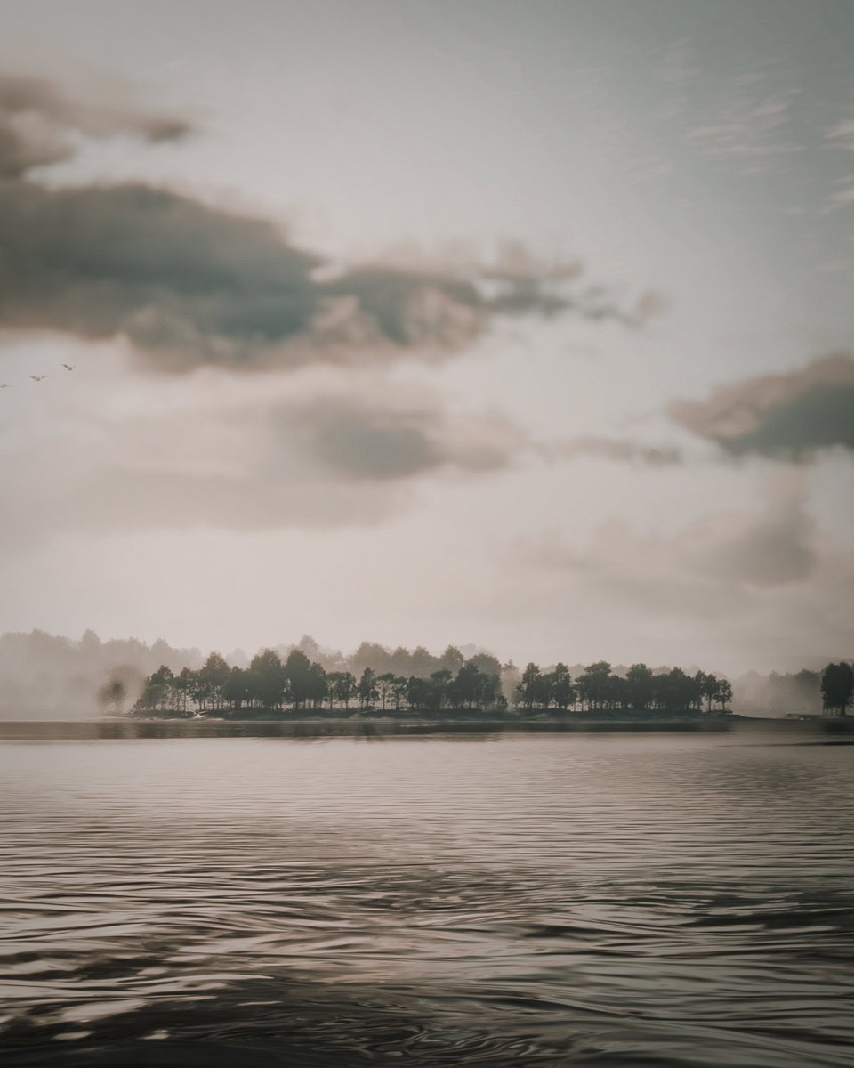 AfterFrame || VP tweet media