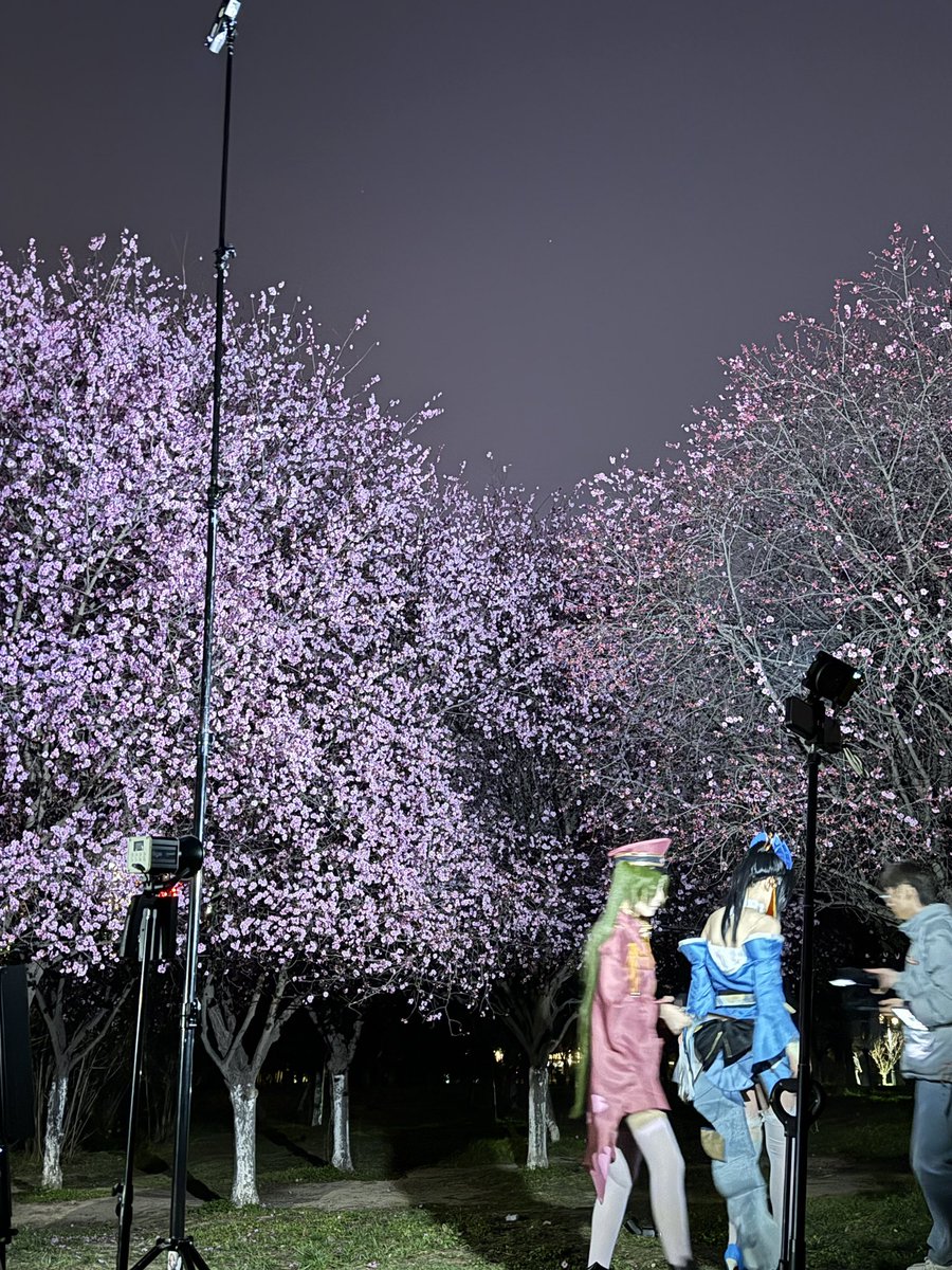 029树叶🍃 tweet media