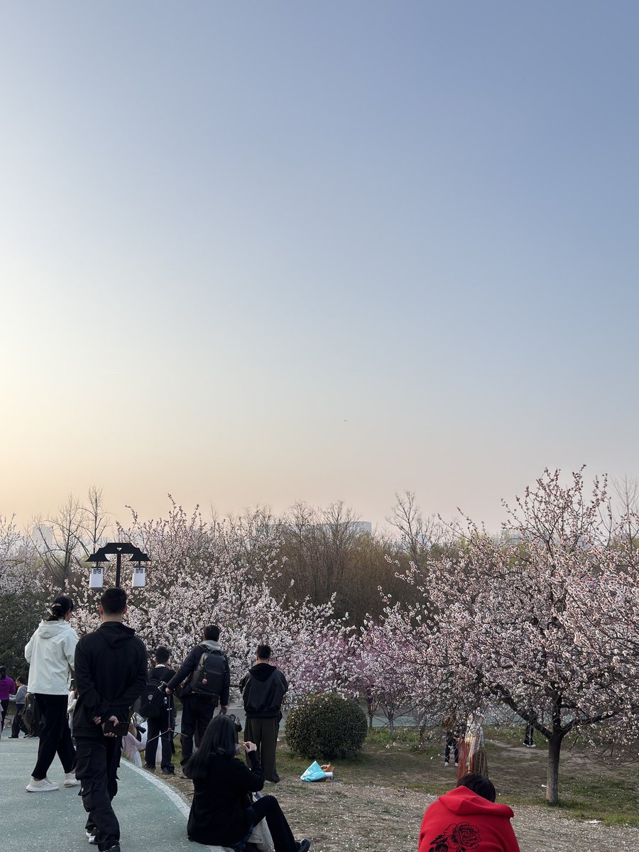 029树叶🍃 tweet media