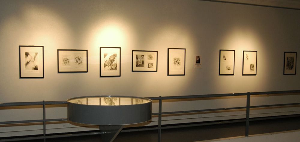 Palais de la découverte tweet media