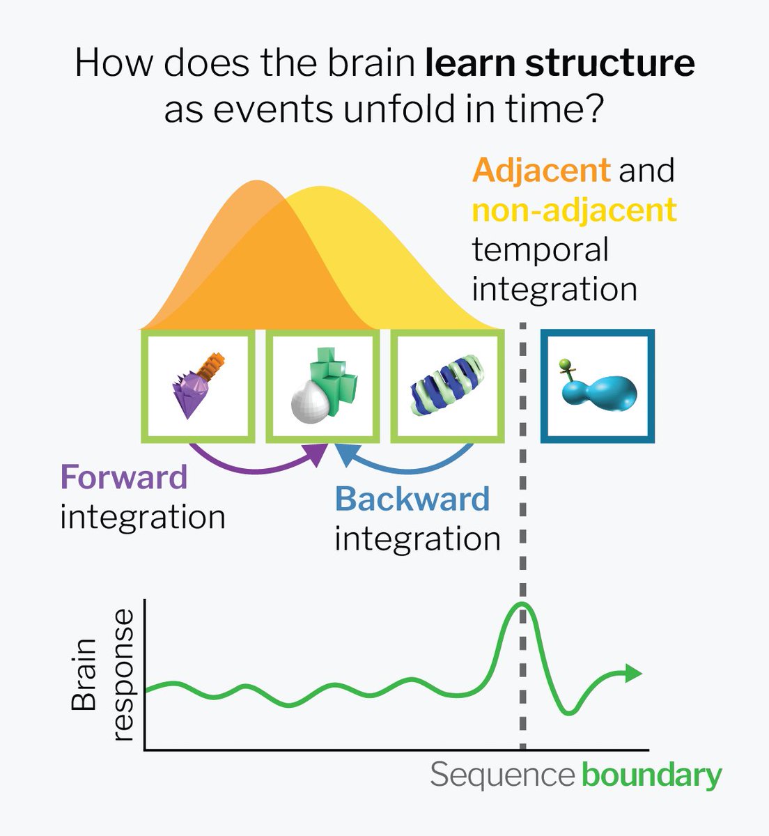 Alison Preston tweet media