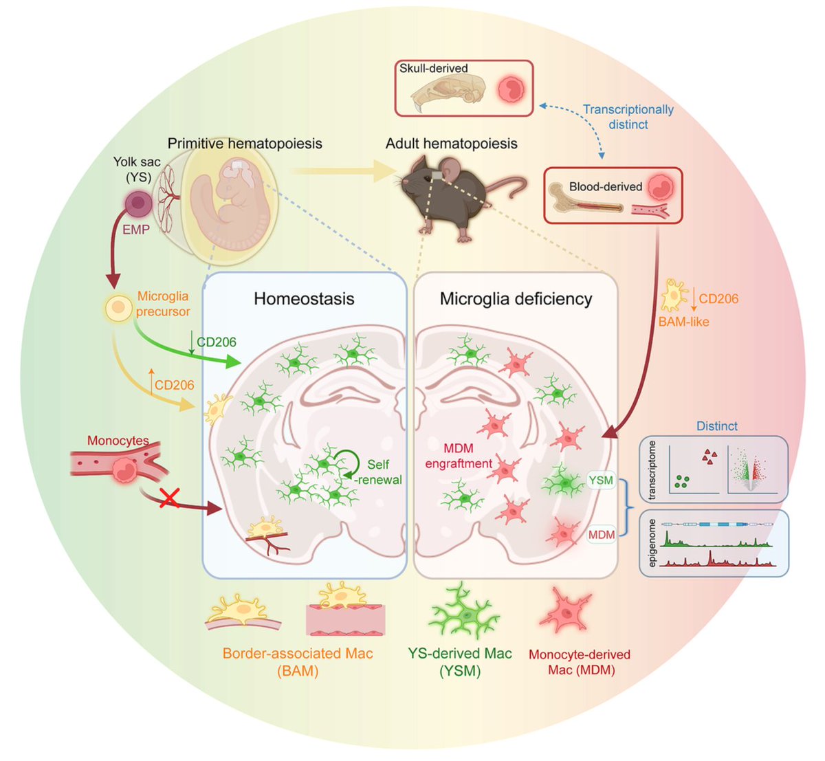 Siling Du tweet media