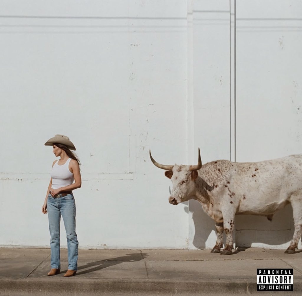 Kacey Musgraves Brasil ★ tweet media