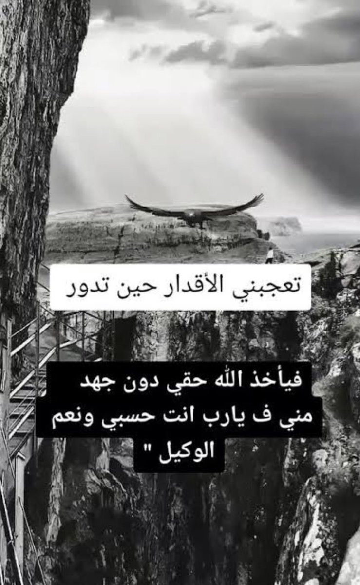 Safa Almahmeed tweet media