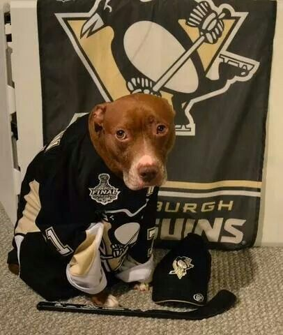 Bernardo Bechelli🏳️⚧️🇧🇷ARFF2026✈️🇦🇷 tweet media