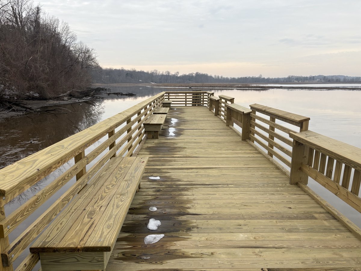 BayLand Consultants tweet media