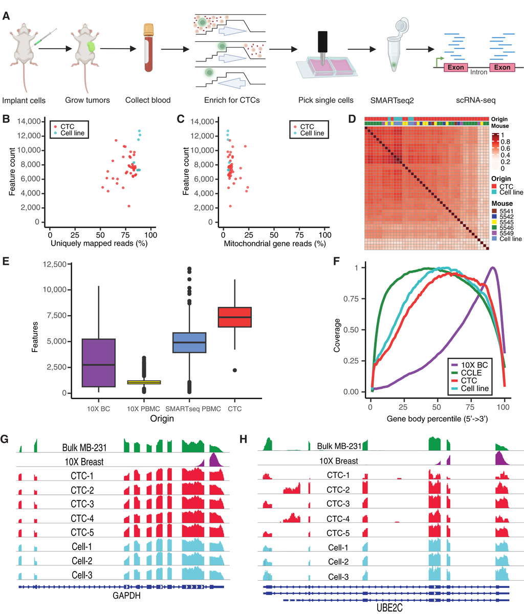 CRC_AACR's tweet image. ICYMI: Surface Marker Identification to Capture Live Circulating Tumor Cells in Metastatic Triple-Negative Breast Cancer. doi.org/10.1158/2767-9…
#CTCs #TNBC #OpenAccess