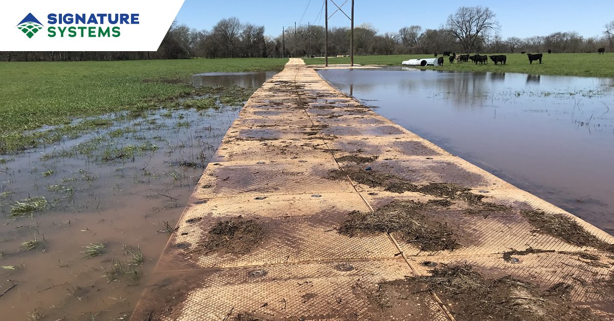 Signature Systems tweet media