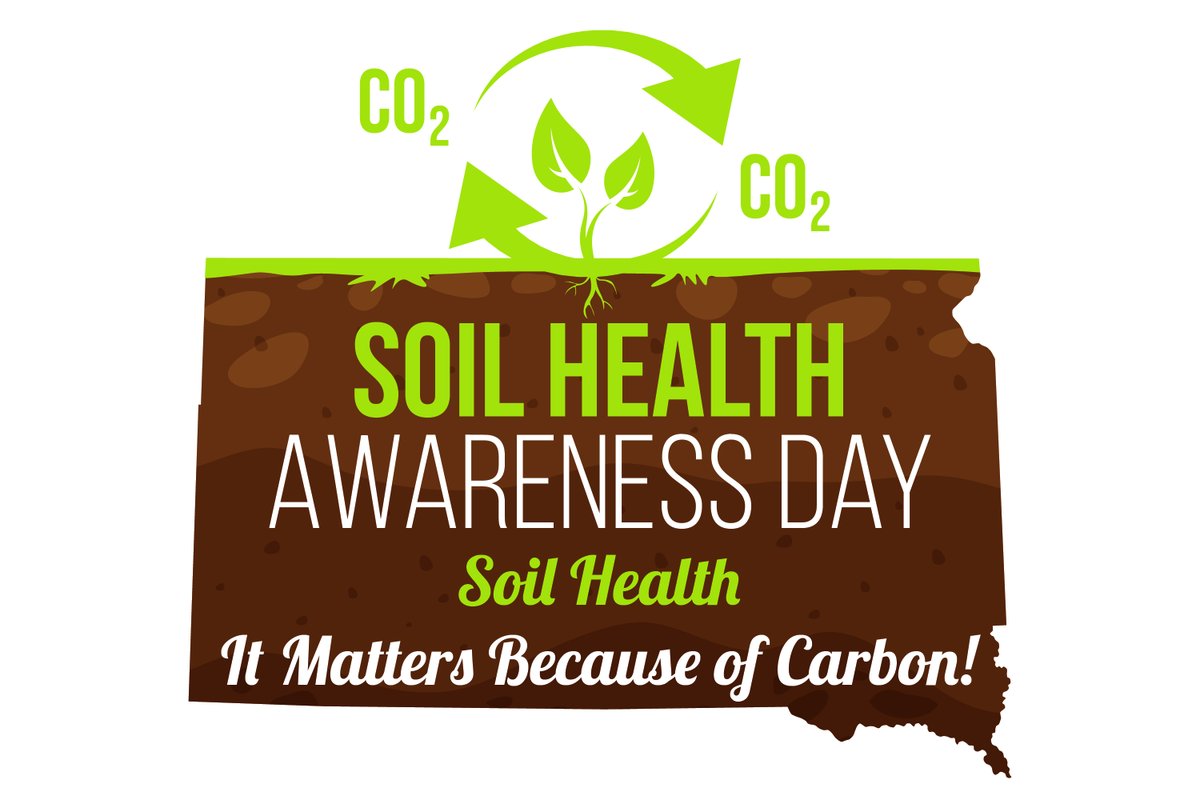 SDSHCoalition tweet media