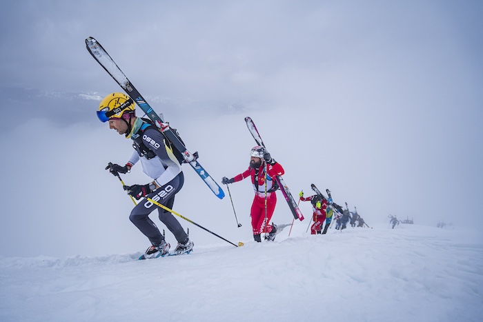 Sportvicious tweet media