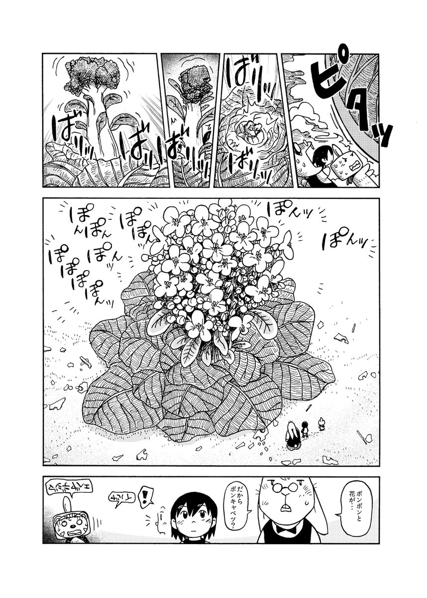疾走!ポンキャベツ(2/2)
😉 