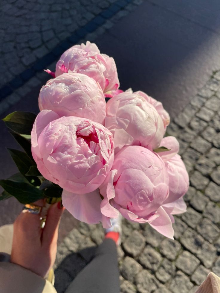 flowers library tweet media