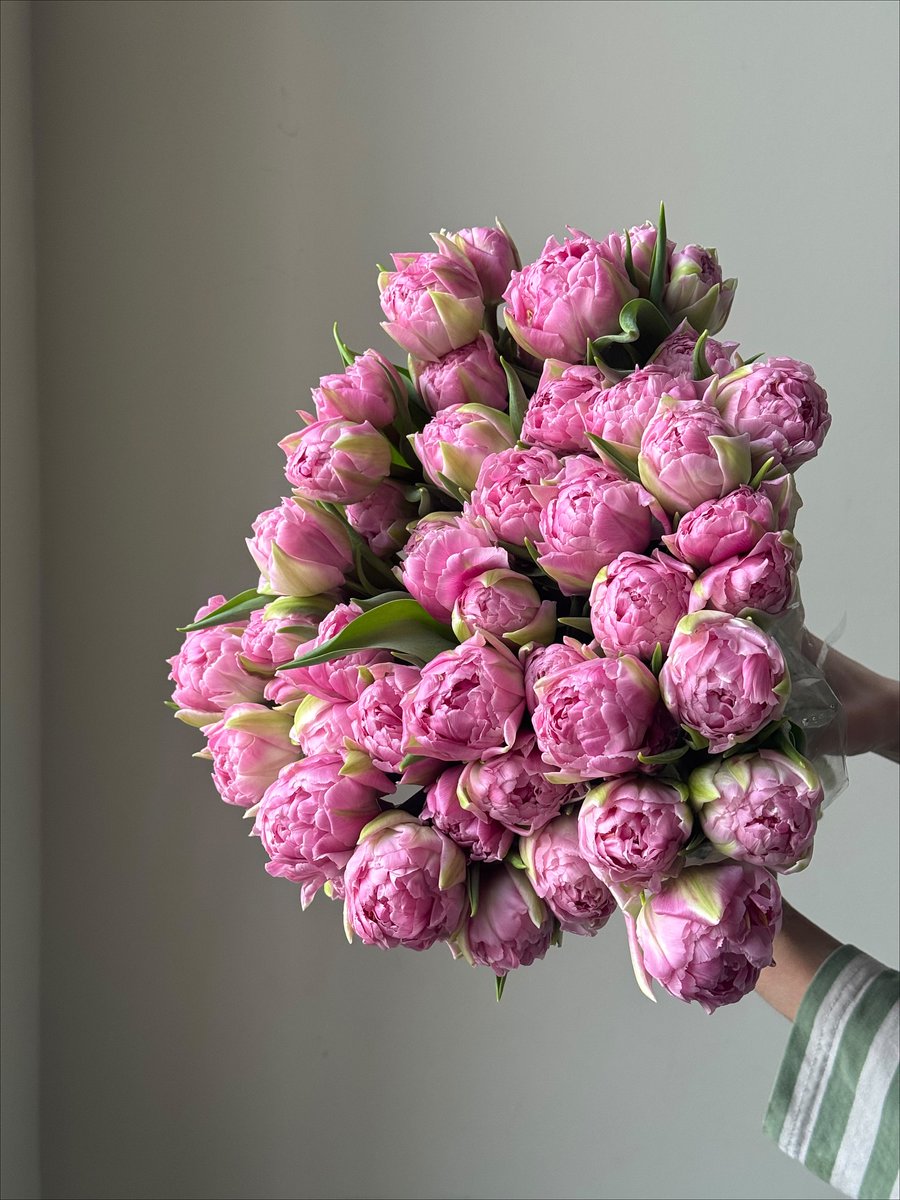 flowers library tweet media