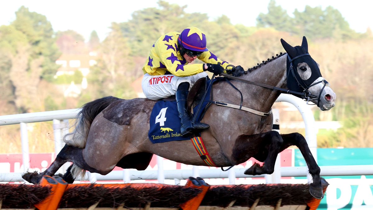 paulduffin11 tweet media