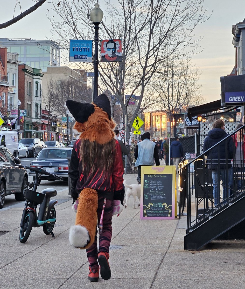 ShadowFox tweet media