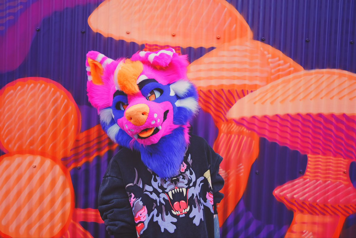 GNAW ‼️ tweet media