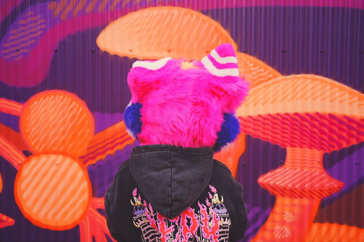 GNAW ‼️ tweet media