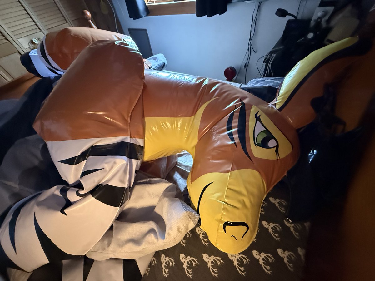 Nøurs 🧸⚡️🐻 tweet media