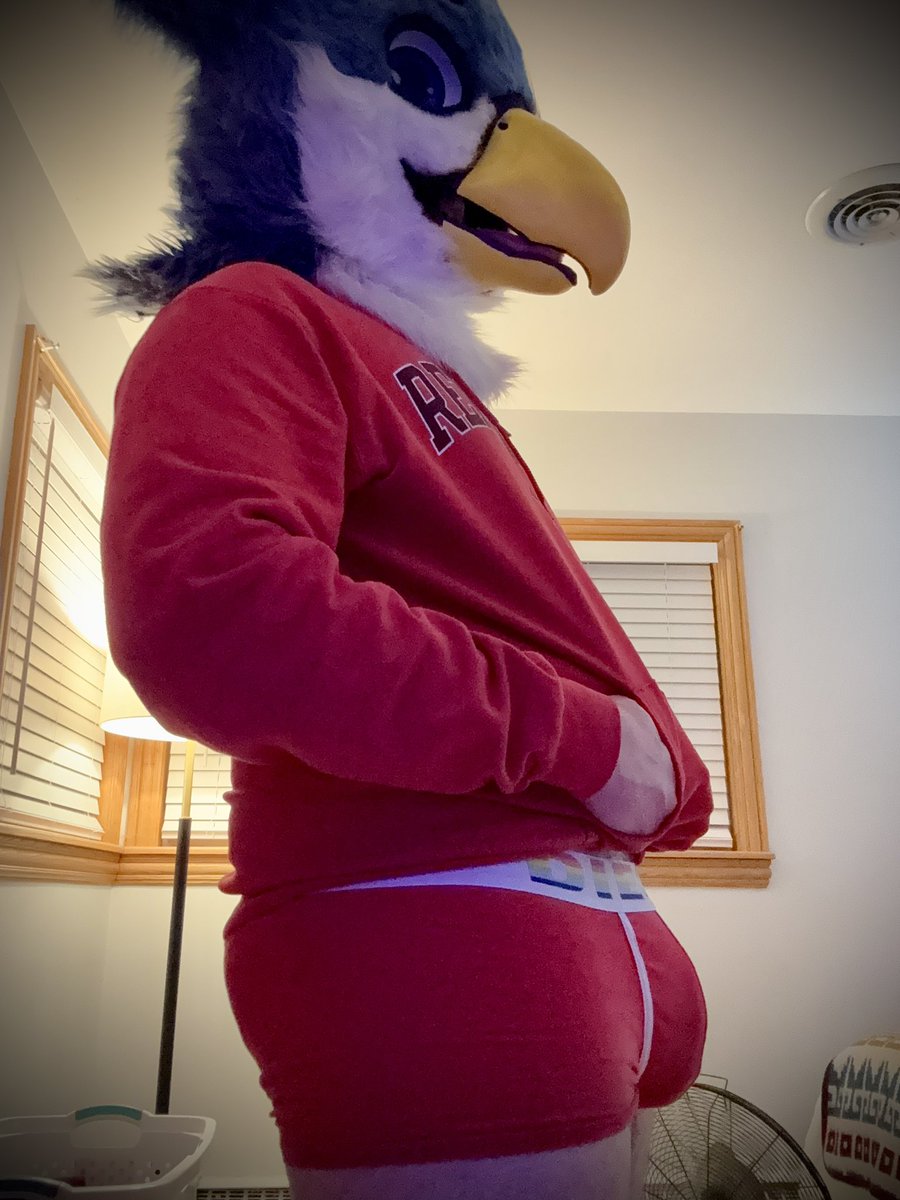 MauTheDong tweet media