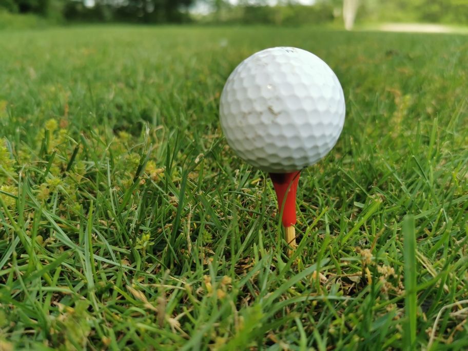 Turf And Recreation tweet media