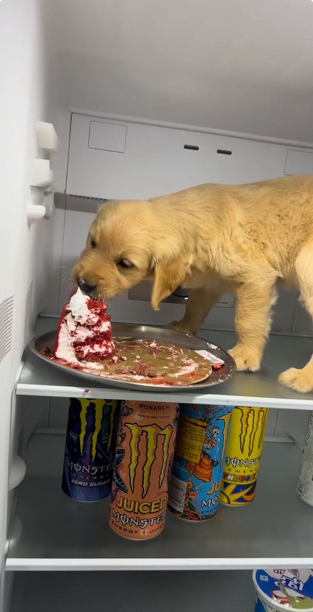 Cetra 🕷️ tweet media