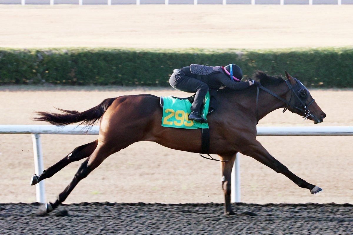 OBSSales tweet media