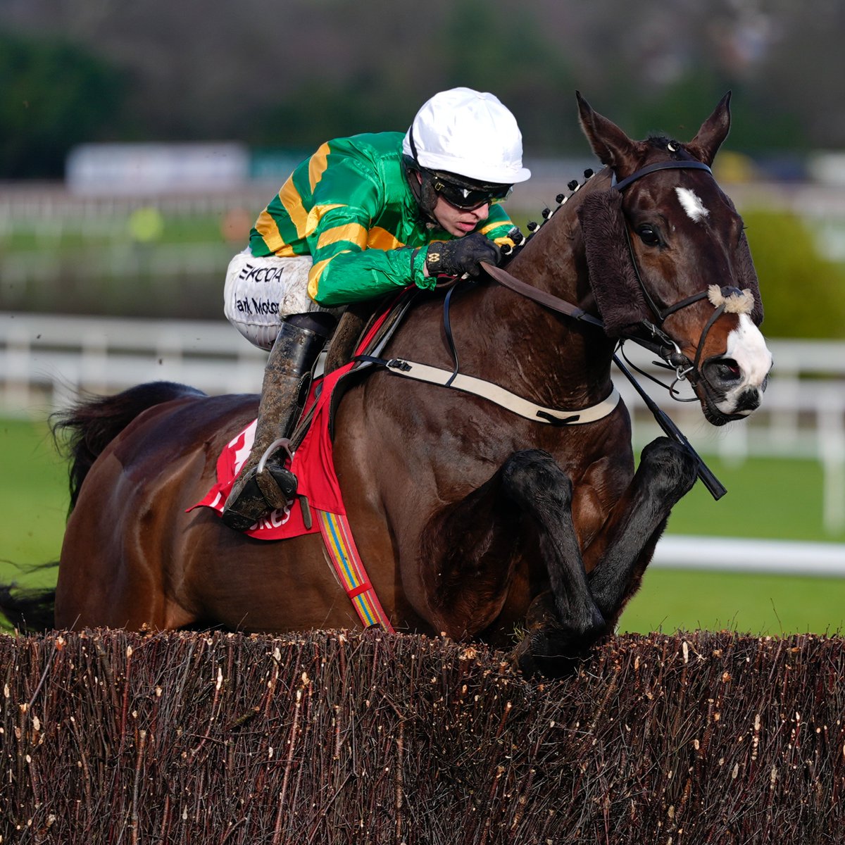 Racing Post tweet media