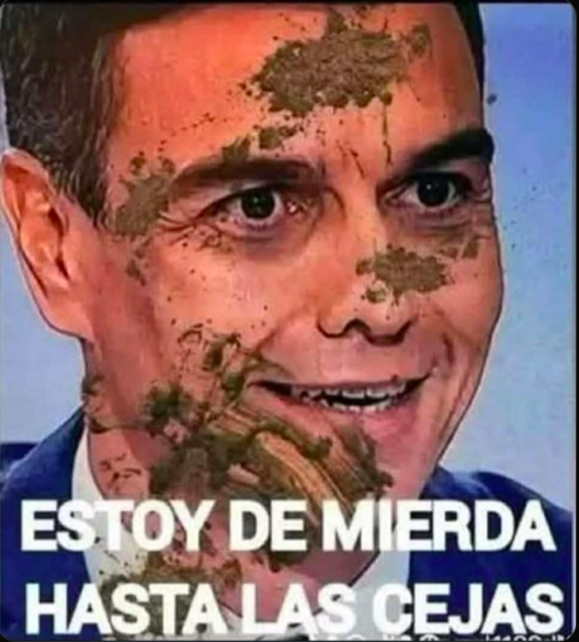 Colo™ tweet media