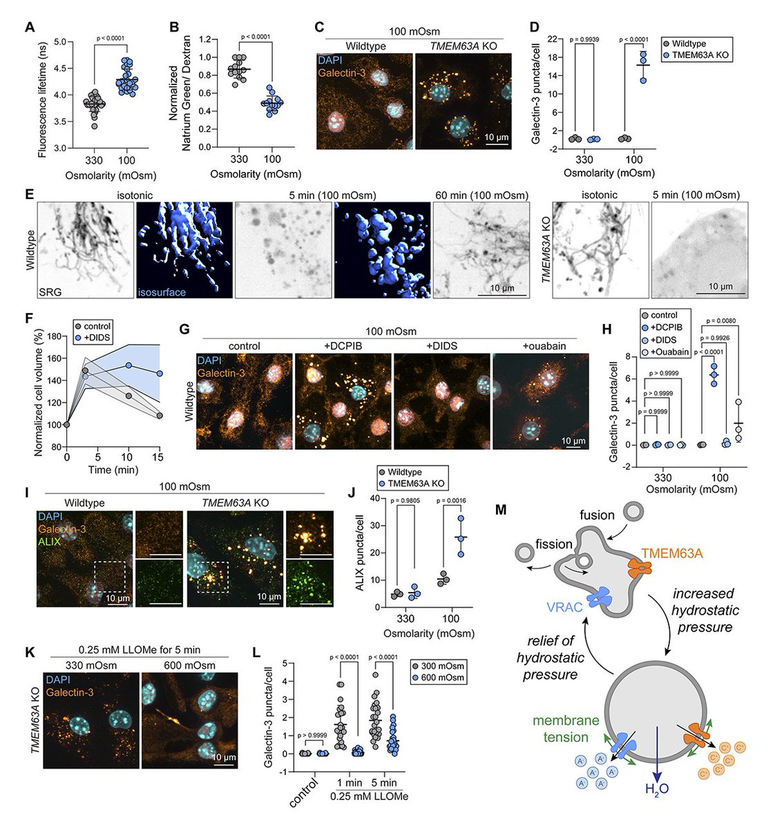 Journal of Cell Biology tweet media