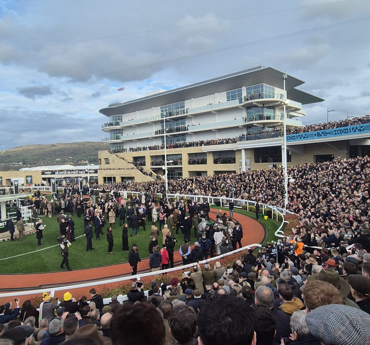 Road To Cheltenham tweet media