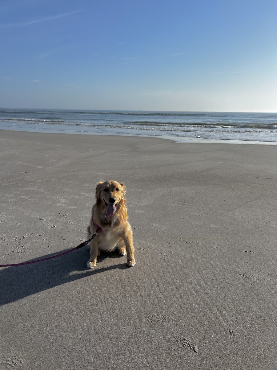 Jennifer Hoane tweet media