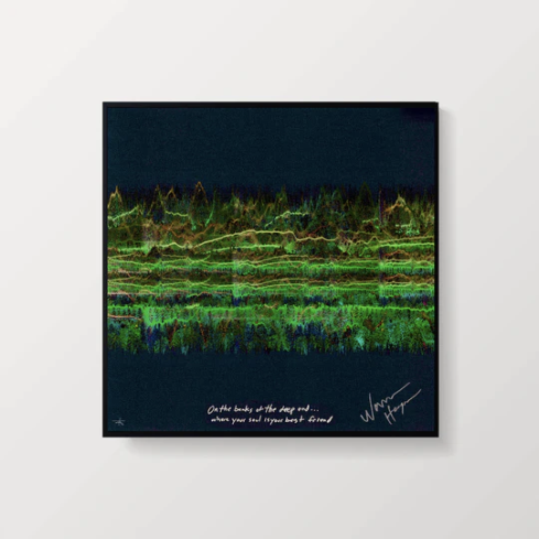 Sweet Relief Musicians Fund tweet media